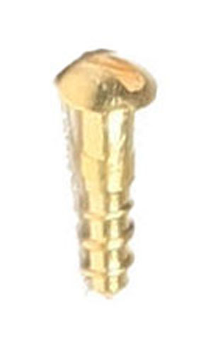 Brass R/head Screws 10mm x 2g x 20 - Click Image to Close