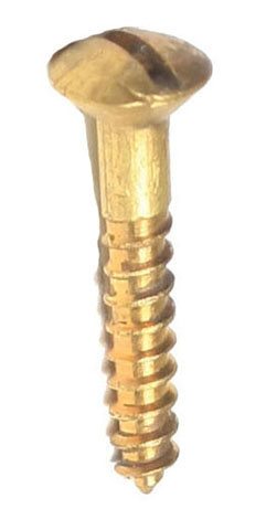 Brass Rsd/head Screws 19mm x 4g x 20 - Click Image to Close